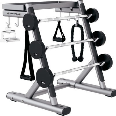 Used Life Fitness Signature Series Handle Rack